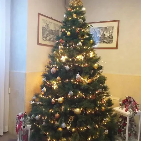 Aurelia 게스트하우스